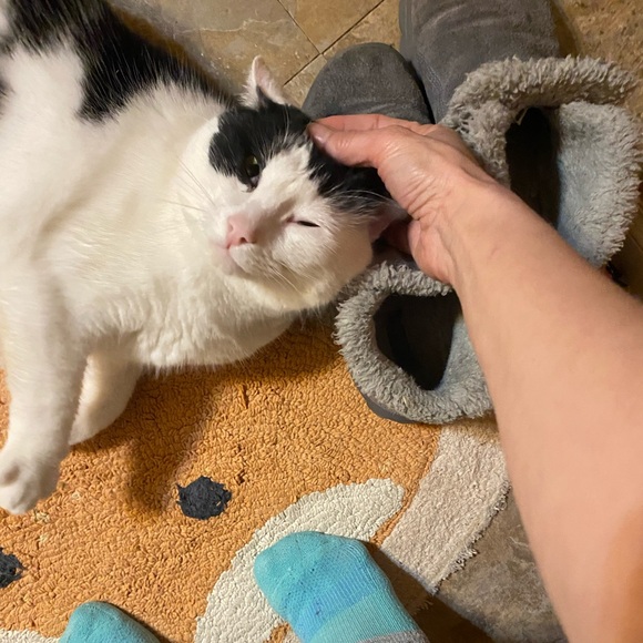 Meet your Posher, Mary - Picture 9 of 11